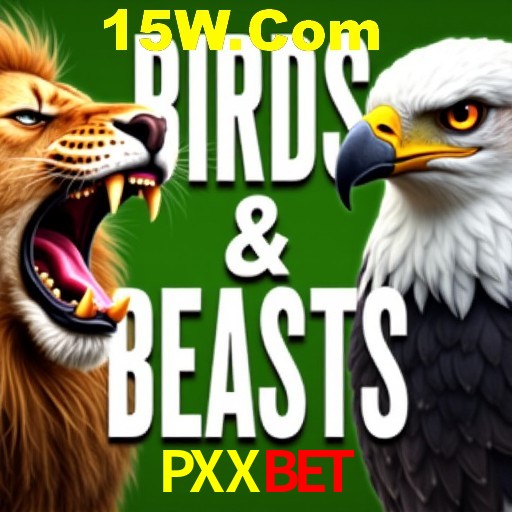 Apostas Esportivas na PXXbet: Um Guia Completo