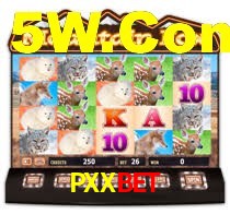 PXXbet